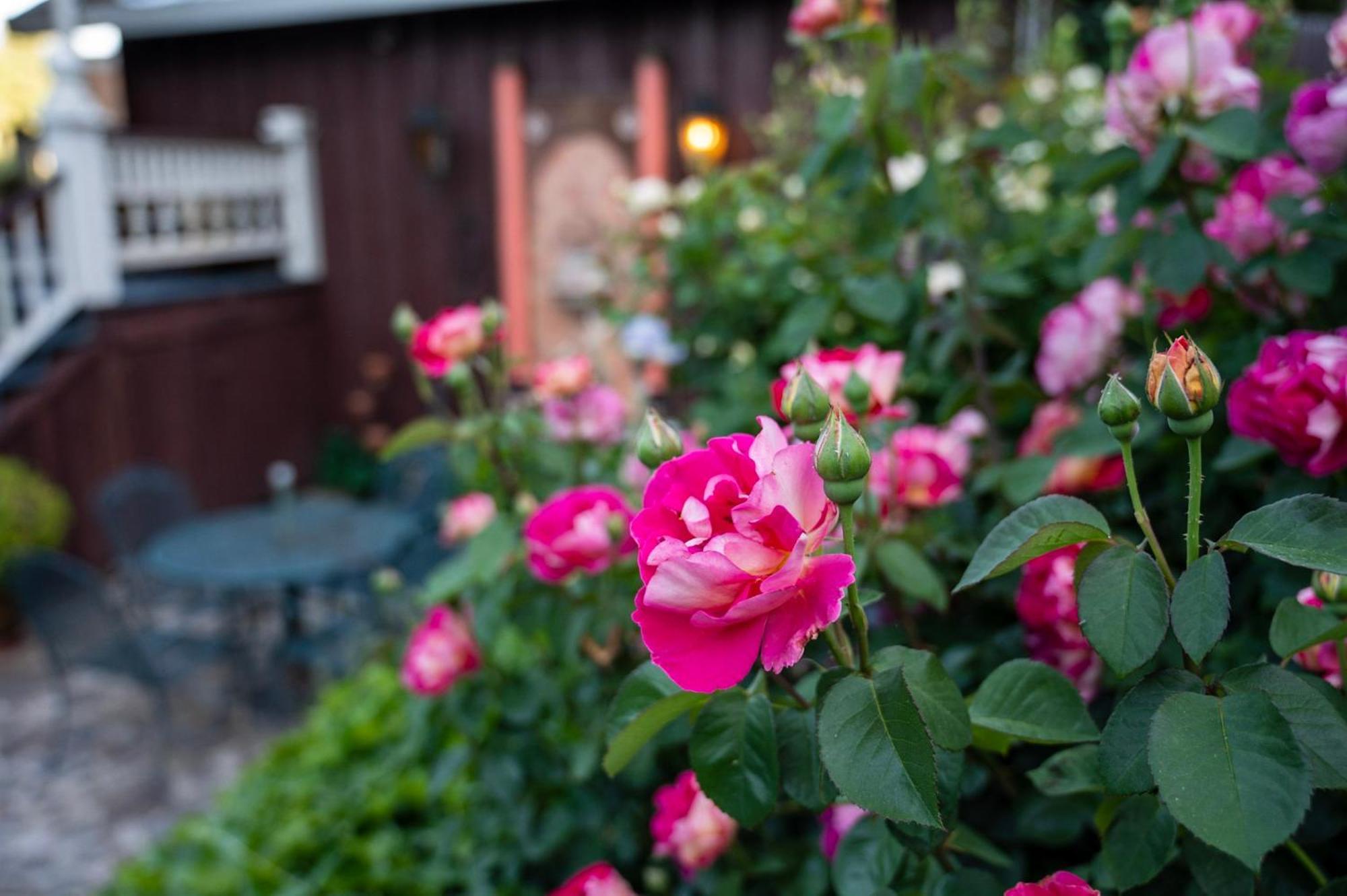 Gunn House Hotel ソノラ エクステリア 写真